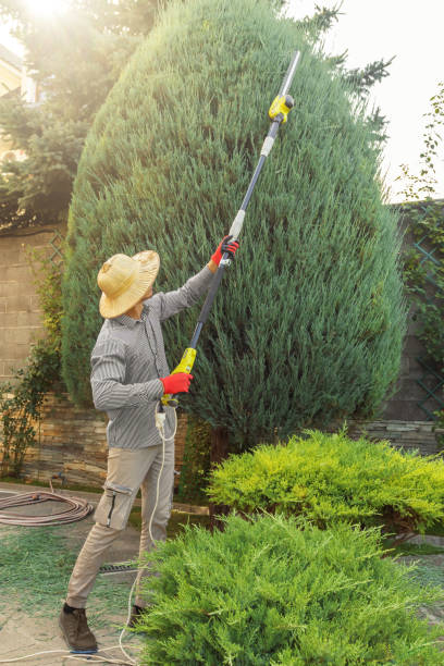 Best Lawn Pest Prevention  in Marlette, MI